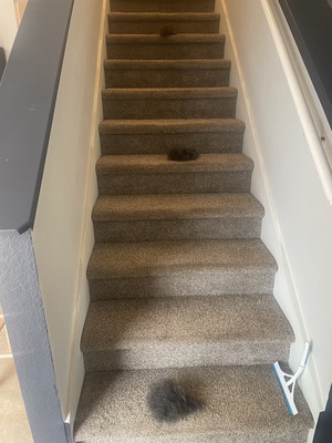 Home Cleaning in san marcos texas Office Cleaning in san marcos texas